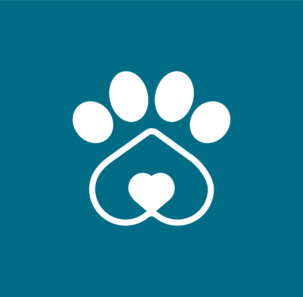 Urgent: Help Settle Our Vet Bills