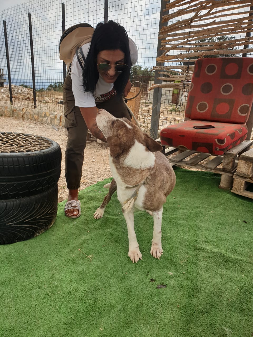 Save A Life By Donating Today