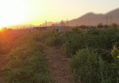 Eco village that will help our family