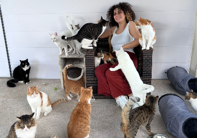 Help Pawscrossed family