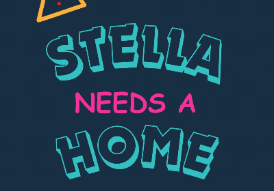 Help STELLA stay safe