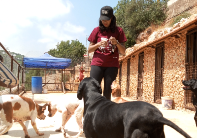 Help Us Save Our Dogs from Disease!