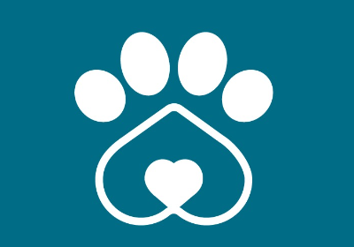 Urgent: Help Settle Our Medical Bills