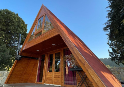 Looking to start a new life