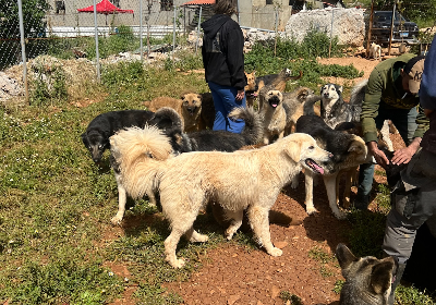 HELP US GET BACK ON OUR FEET