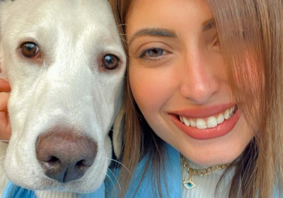 Help Save "Thor" My Labrador Son