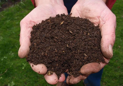 Processing Chicken Manure Into Organic Fertilizer