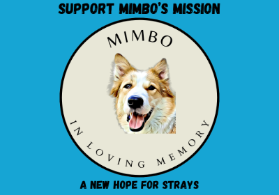 Support Mimbo's Mission: A New Hope for Strays