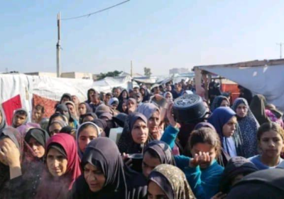 Food production for displaced families in the gaza