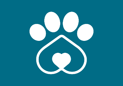 A New Start: Help Us Clear Our Vet Debts