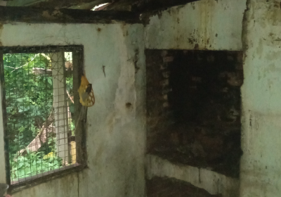 Hope in the Rubble—Will You Help Me Rise Again?