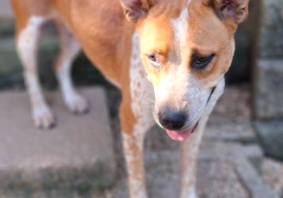 Help Us End the Suffering of Homeless