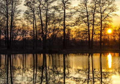 What is a MoonPay number?{{Unity with us}