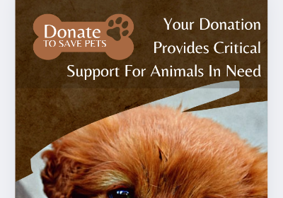 Save abandoned and abused dog