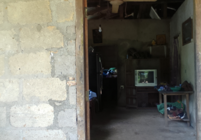 My house repair found