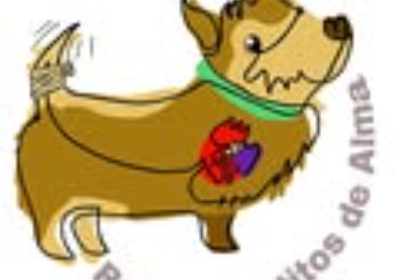 todos los dias salvando vidas