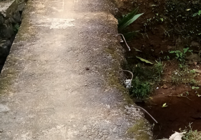 To repair the bridge leading to the house