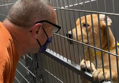 Help TERRELL FAIRLEY Expansion of the Animal Shelt