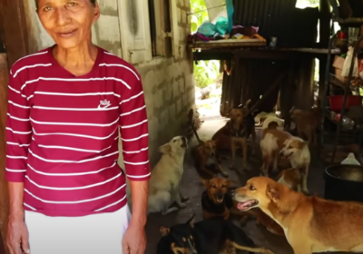 A Request for Support on Behalf of Helpless Animal