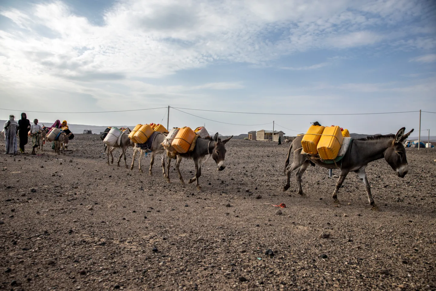 mules carrying buckets of water on their back.